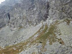 Photo Textures of High Tatras